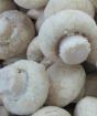 Hvordan fryse champignoner riktig for vinteren i hjemmefryseren