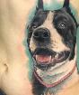 Cosa può significare un tatuaggio pitbull?