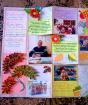 Направи си сам стенен вестник за Деня на учителя на ватман: шаблони и снимки стъпка по стъпка